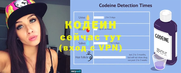 2c-b Богородицк