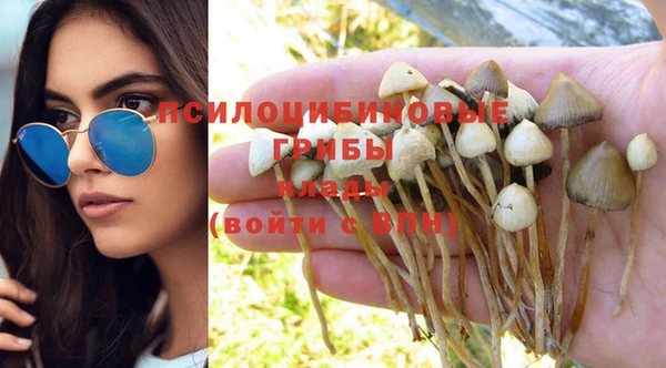 2c-b Богородицк