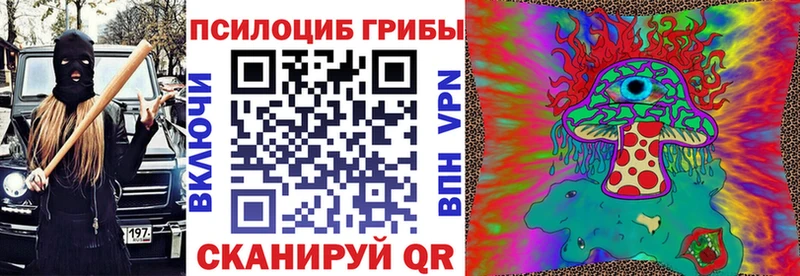 купить   Павловск  Псилоцибиновые грибы Psilocybine cubensis 